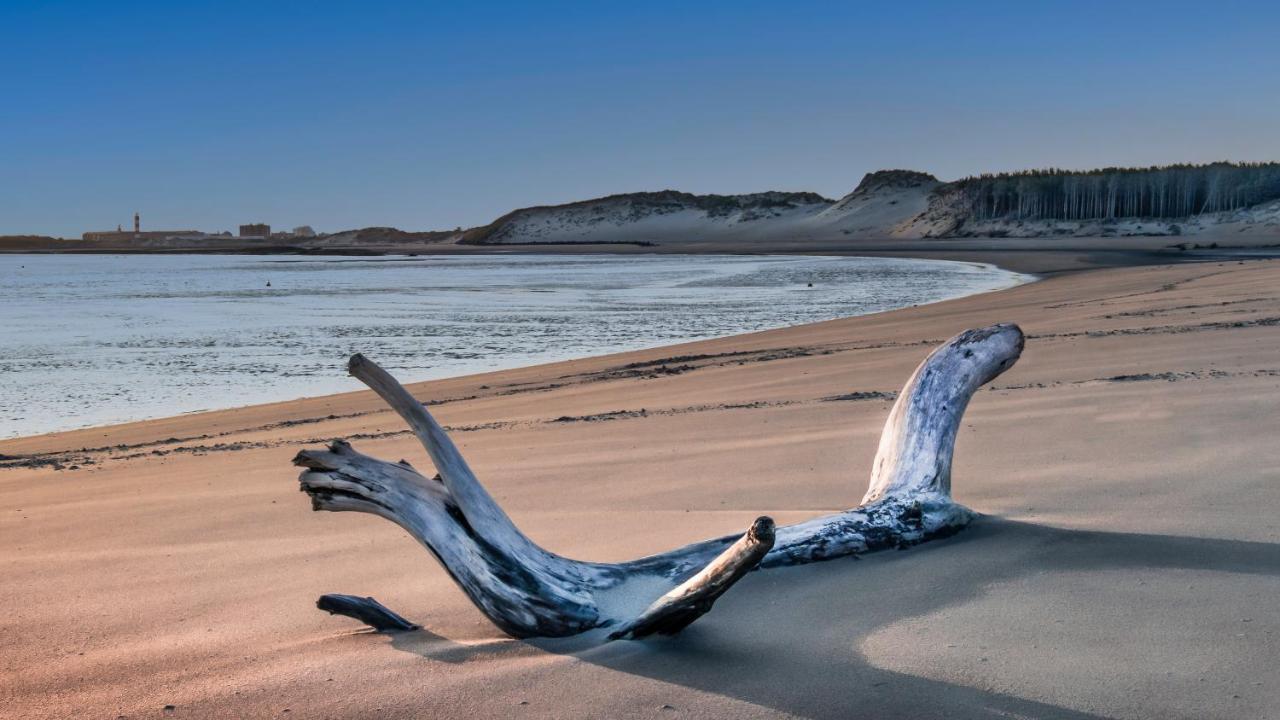 Studio "Les Pieds Dans L'Eau" - 50M Front De Mer Berck Bagian luar foto
